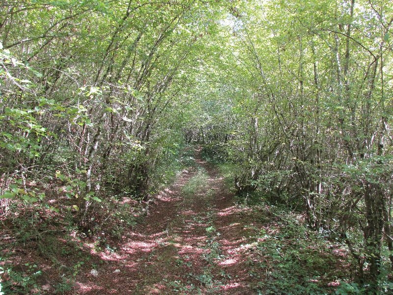 krsikla_25.jpg