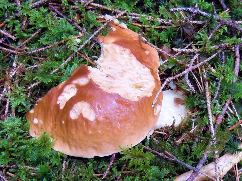 dscn6900.jpg
