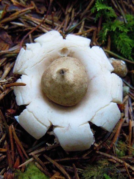 dscn6918.jpg