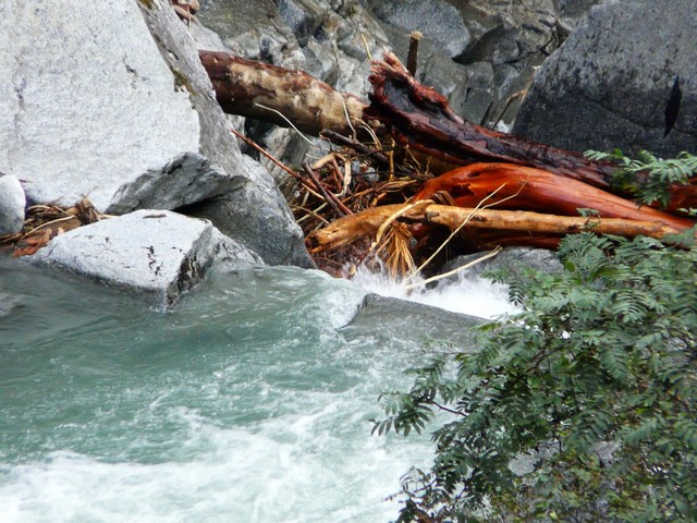 Zillertal grantig und lieblich 2