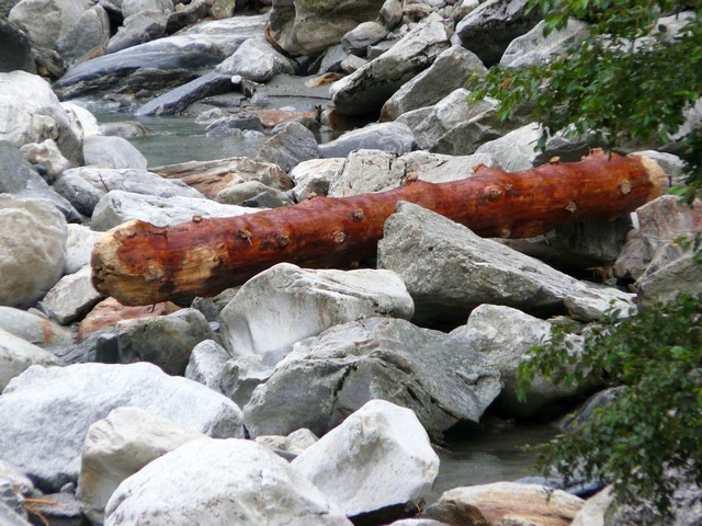 Zillertal grantig und lieblich 3