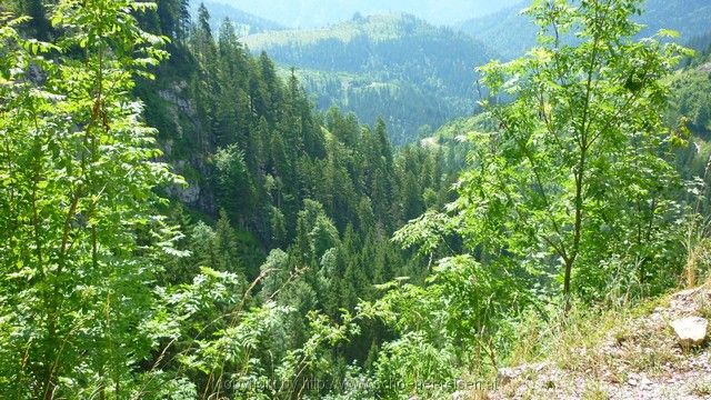 Radltour Spitzingsee zum Kaiserhaus