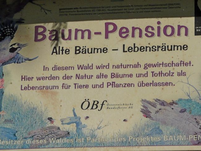 Tirol > Wanderung durch den  Zemmgrund