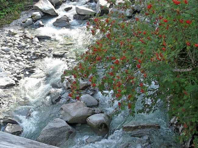 Tirol > Wanderung durch den  Zemmgrund