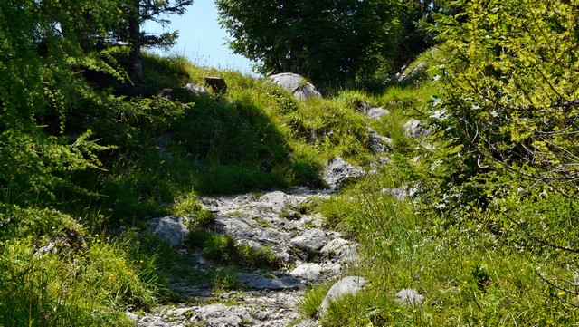 Radlauffahrt zum Pendling 2