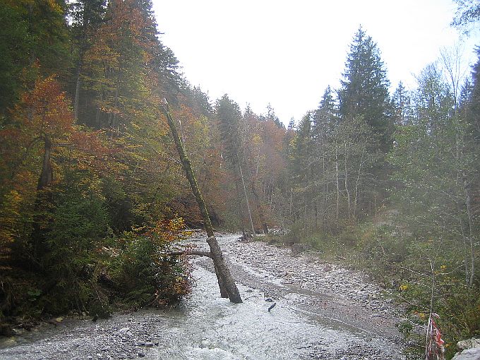 Wanderung Plansee Griesen 5