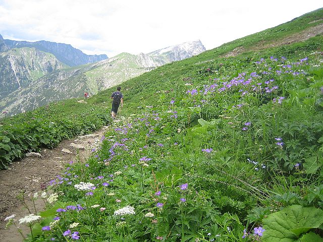 Bergtour Anhalter Hütte 7