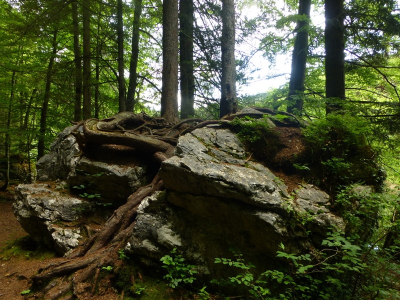 Berglsteiner See im Alpbachtal