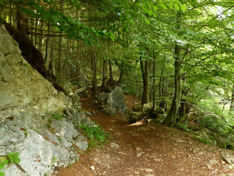 Berglsteiner See im Alpbachtal