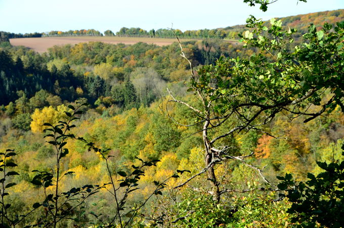 Eltzer Burgpanorama 1 8