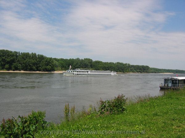 DONAU bei Hainburg an der Donau