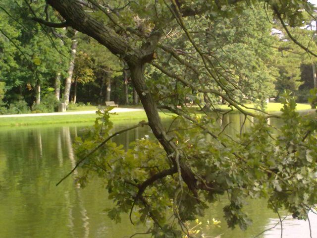 SCHLOSS LAXENBURG 5