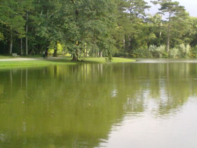 SCHLOSS LAXENBURG 6