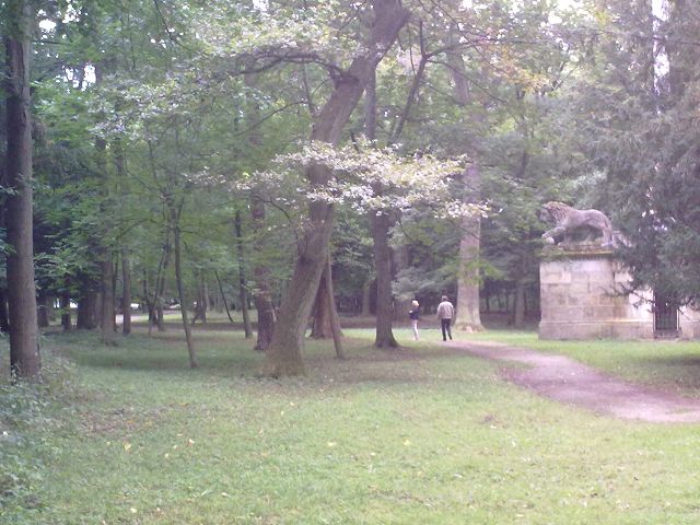 SCHLOSS LAXENBURG 4