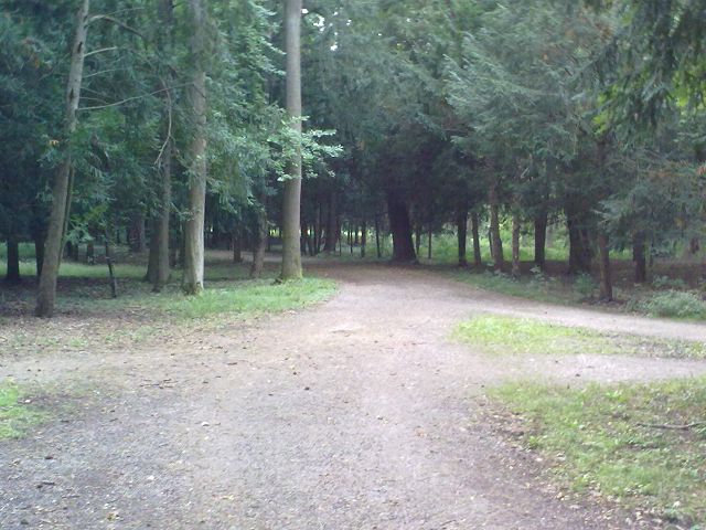 SCHLOSS LAXENBURG 5