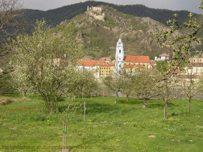 DÜRNSTEIN > Wachau