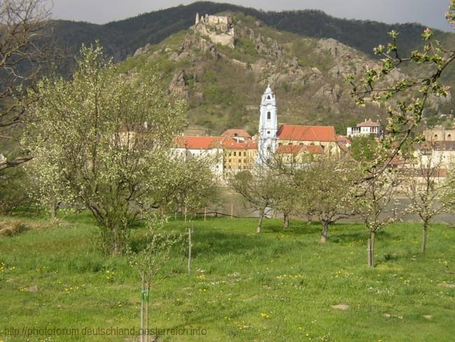 DÜRNSTEIN > Wachau