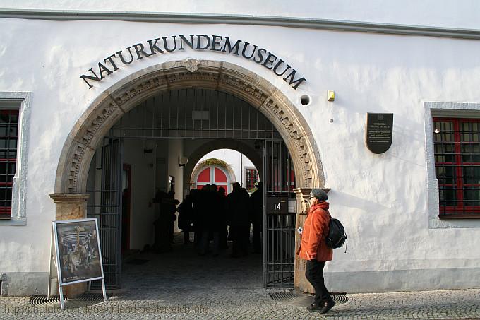 ERFURT > Naturkundemuseum - Durchgang
