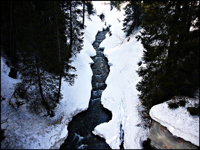 Ausflug nach Vorarlberg 3