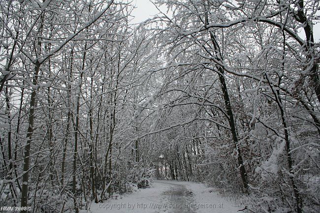 BÖBLINGEN-RAUHER KAPF > Waldsiedlung - Schneeeindrücke vom 13.12.2008