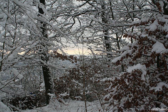 BÖBLINGEN-RAUHER KAPF > Waldsiedlung - Schneeeindrücke vom 13.12.2008