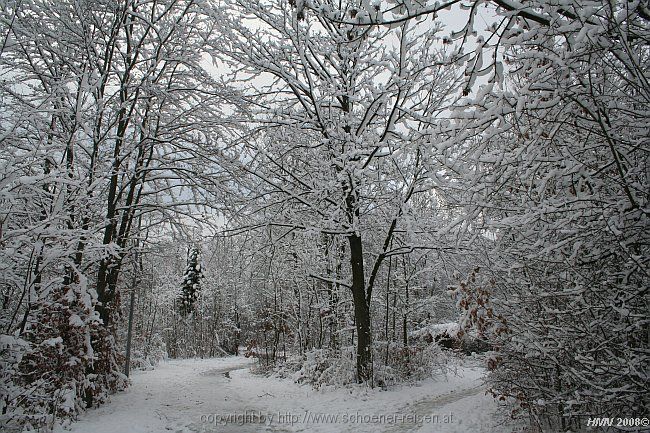 BÖBLINGEN-RAUHER KAPF > Waldsiedlung - Schneeeindrücke vom 13.12.2008