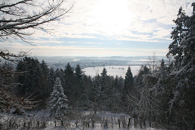 BÖBLINGEN-RAUHER KAPF > Waldsiedlung - Schneespaziergang am 26. Dezember 2010 > Theodor-Renner-Weg > Schönbuchausblick