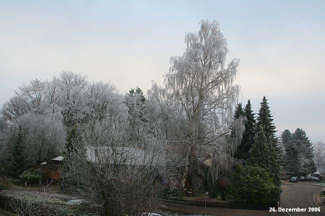 BÖBLINGEN-RAUHER KAPF > Waldsiedlung - neblige Wetterlage