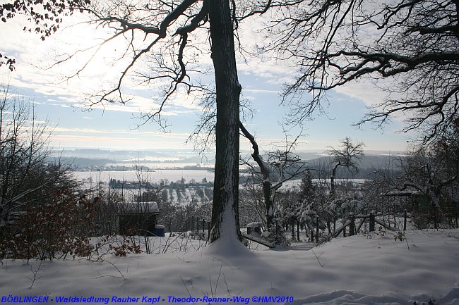 BÖBLINGEN-RAUHER KAPF > Waldsiedlung - Schneespaziergang am 26. Dezember 2010 > Theodor-Renner-Weg