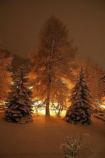BÖBLINGEN-RAUHER KAPF > Waldsiedlung - Wintermärchen am 04. März 2006