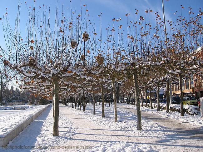 BÖBLINGEN > Stadtgarten - Baumallee mit Amphoren am Unteren See