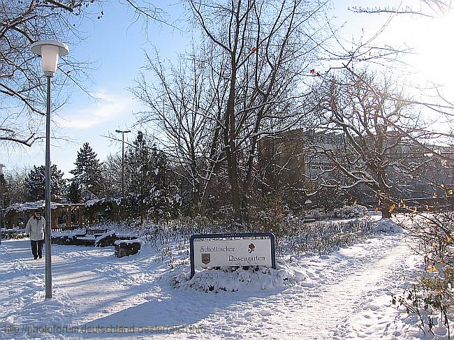 BÖBLINGEN > Stadtgarten - Schottischer Rosengarten