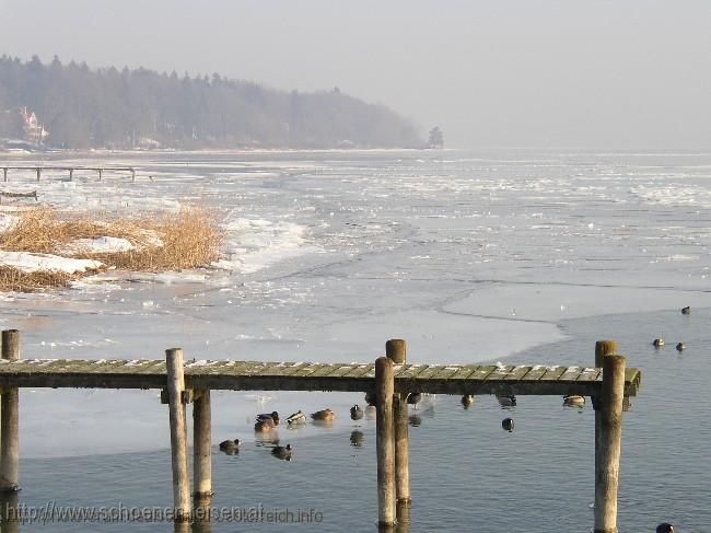 CHIEMSEE > Winter > Gstadt > eisbedecktes Ufer