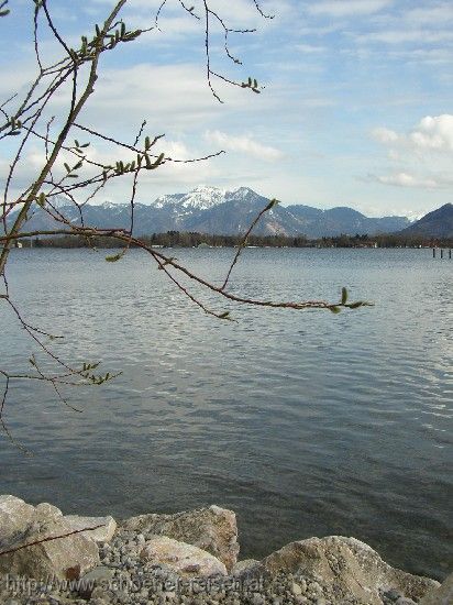 CHIEMSEE > Camping Harras > Stellplatz am Wasser