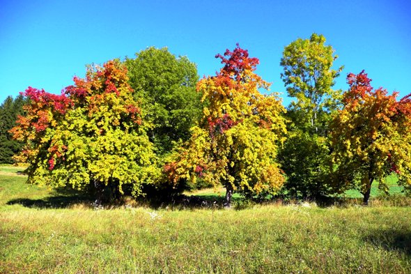 Pöllau > Herbst