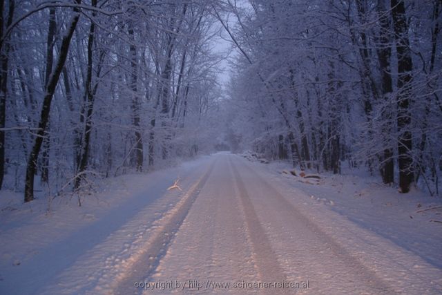 Oststeiermark > Winterlandschaft