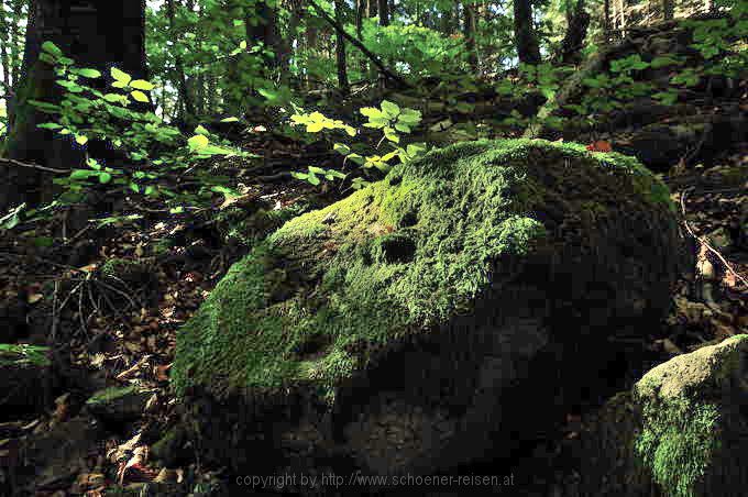 Münstertal Schwarzwald