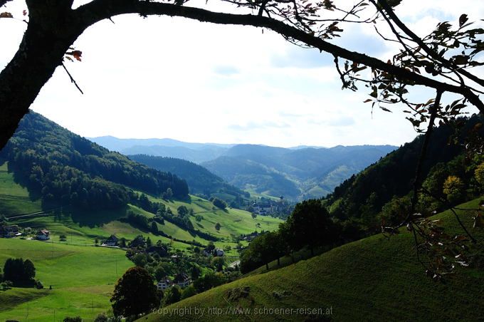 Münstertal Schwarzwald