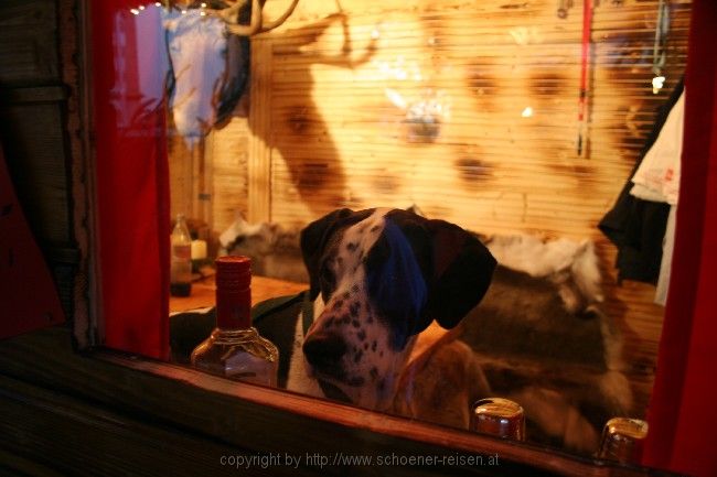 BAD WIMPFEN > Altdeutscher Weihnachtsmarkt 8