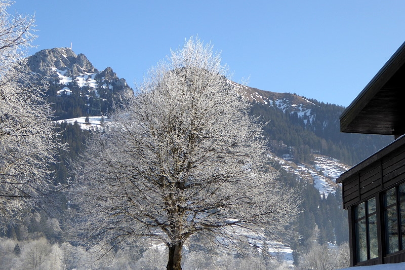 06  800 Wendelstein 19 Feb15 020