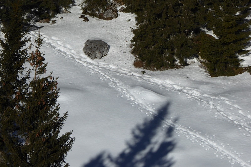 29 800 Wendelstein 19 Feb15 121