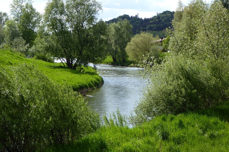3 Mangfall 016.800 JPG