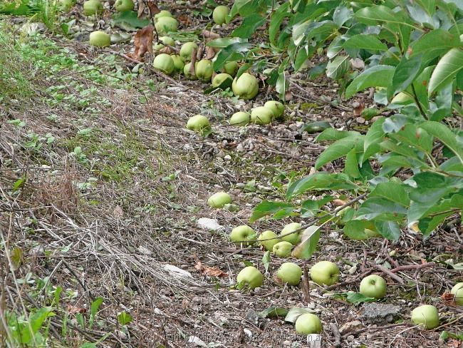 Radltour von Siegertsbrunn nach Meran