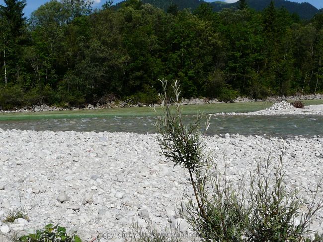 Radltour Lenggries>Sylvensteinspeicher>Jachenau> Lenggries