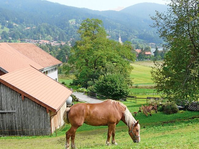 Kleine Radltour zum Bodenschneidhaus