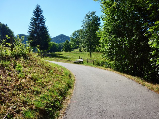 P1010685_1.jpg