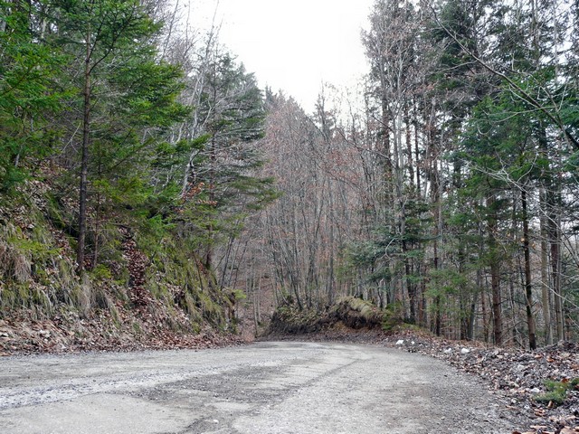 Mangfallknie, Wanderung zu einer geologischen Besonderheit, Teil 1 6