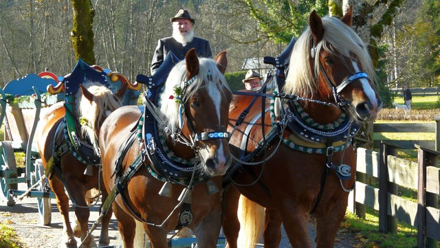 Leonhardifahrt 2011, in Kreuth beim  Tegernsee 3