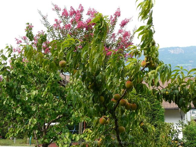 Radltour von Siegertsbrunn nach Meran