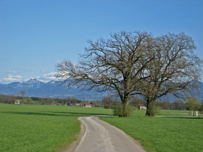 bei Bad Aibling